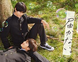 中山seo整站优化公司